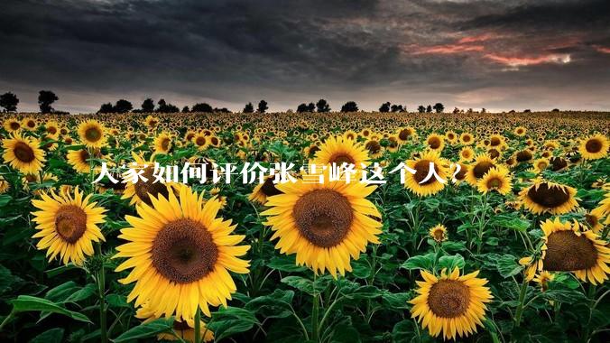 大家如何评价张雪峰这个人？