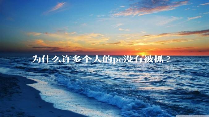 为什么许多个人的pc没有被抓?