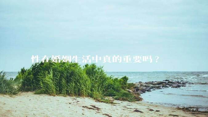 性在婚姻生活中真的重要吗?