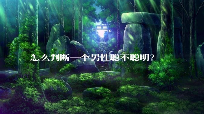 怎么判断一个男性聪不聪明？