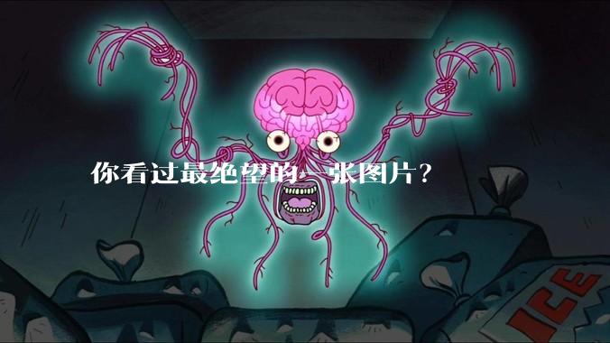 你看过最绝望的一张图片？