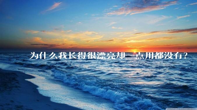 为什么我长得很漂亮却一点用都没有？