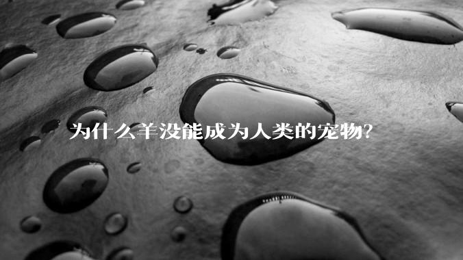 为什么羊没能成为人类的宠物？