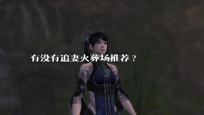 有没有追妻火葬场推荐?