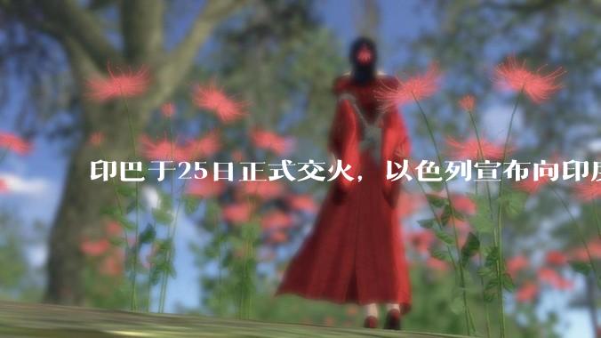 印巴于25日正式交火，以色列宣布向印度提供***，胡赛武装宣布将会袭击印度航母，如何看待当前局势？