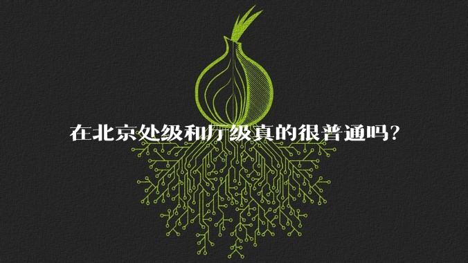 在北京处级和厅级真的很普通吗？