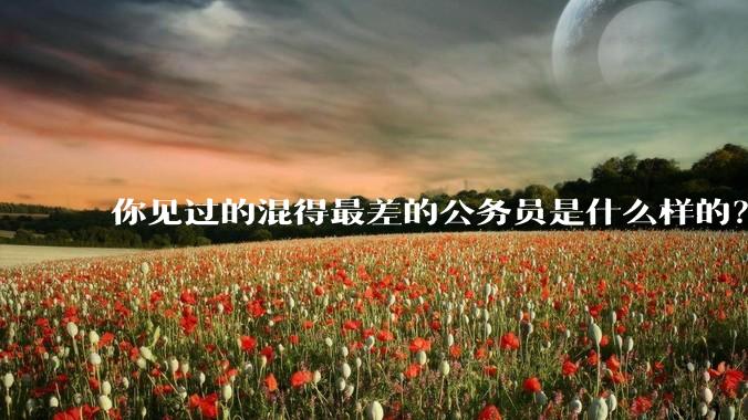 你见过的混得最差的公务员是什么样的？