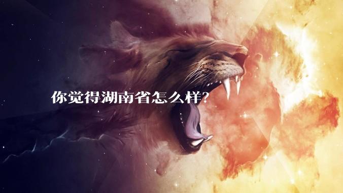 你觉得湖南省怎么样？