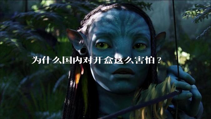 为什么国内对开盒这么害怕?