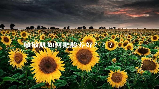 敏敏肌如何把脸养好？？？