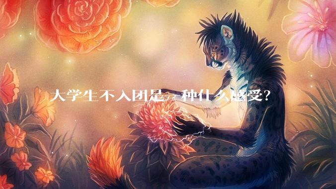 大学生不入团是一种什么感受？