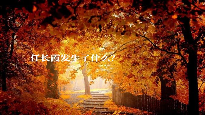 任长霞发生了什么？