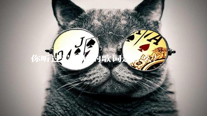 你听过最尴尬的歌词是什么？