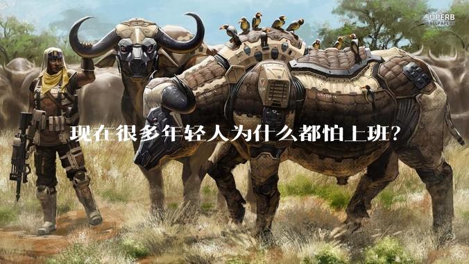 现在很多年轻人为什么都怕上班？