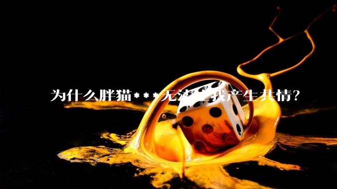 为什么胖猫***无法让我产生共情？