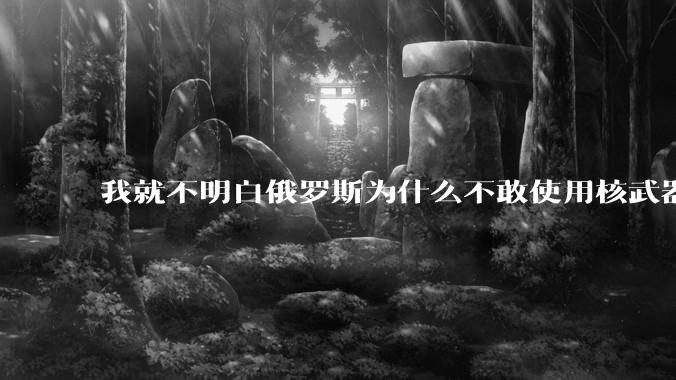 我就不明白俄罗斯为什么不敢使用核武器?