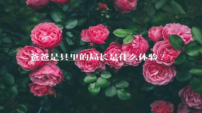 爸爸是县里的局长是什么体验?