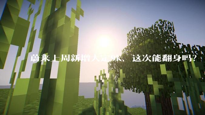 蔚来上周新增大定9k，这次能翻身吗？