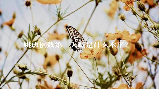 姚班倒数第一大概是什么水平？
