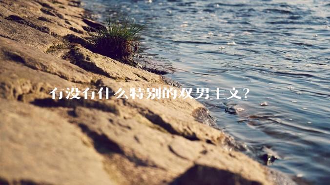 有没有什么特别的双男主文？