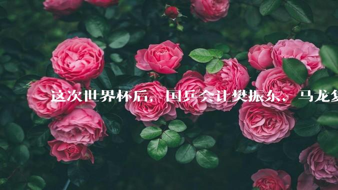 这次世界杯后，国乒会让樊振东、马龙复出吗？