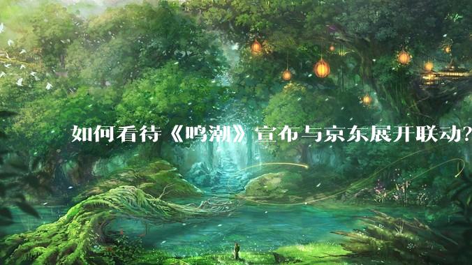 如何看待《鸣潮》宣布与京东展开联动？