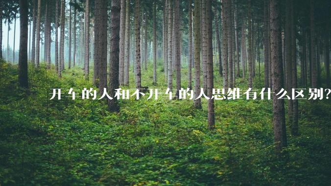 开车的人和不开车的人思维有什么区别？