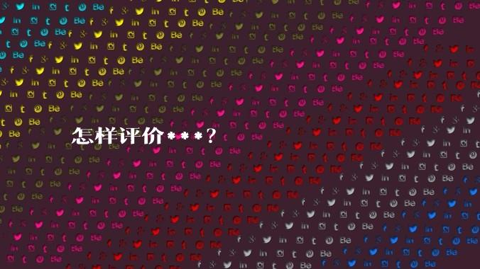怎样评价***？