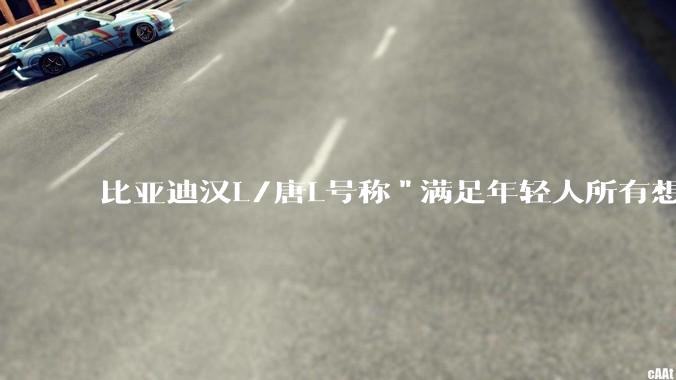 比亚迪汉L/唐L号称"满足年轻人所有想象"，是实力派还是营销咖？