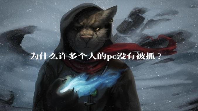 为什么许多个人的pc没有被抓?